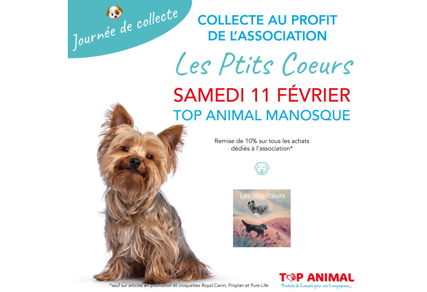 COLLECTE AU PROFIT DE L'ASSOCIATION LES PTITS COEURS